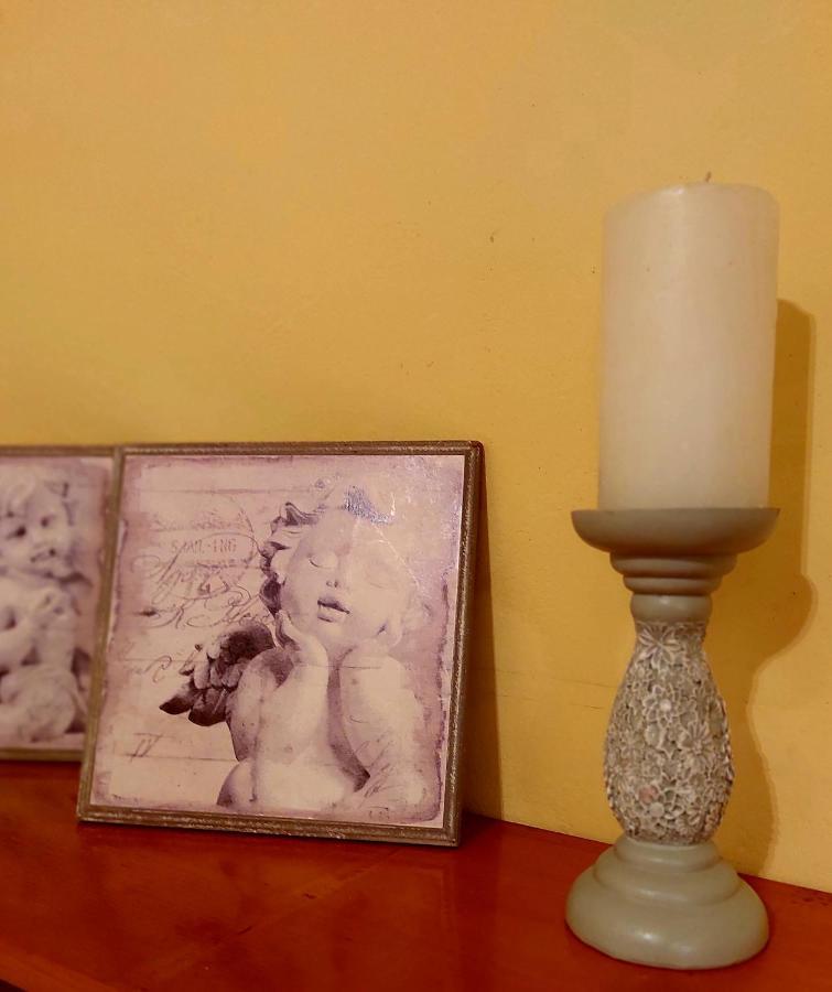 Apartman Nikos ザダル エクステリア 写真